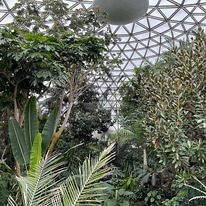 General View of the Conservatory