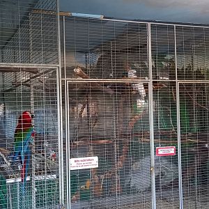 Cages Parrot-jungle