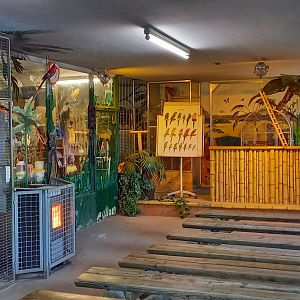 Preformance-room Parrot-show