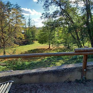 View onto the African savanna