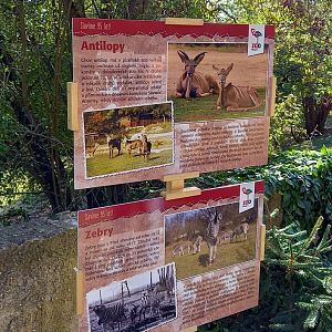 Signs African savanna