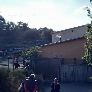 Stables African savanna