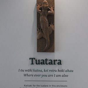 Signwork & Artwork, Victoria University Tuatara Enclosure