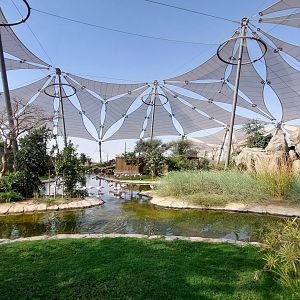 Overview main avairy