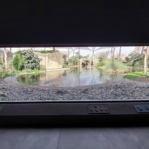 Viewing window to main avairy in (cooled) bird information centre