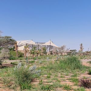 Site view and landscape view