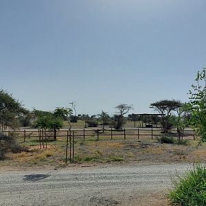 View at Sahel exhibit from Base Camp