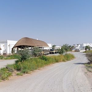 Safari Busses and busstation