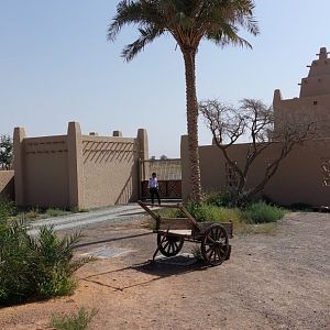 Entrace gate to safari exhibits