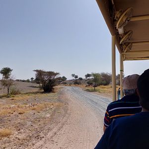 Impression of landscape with tour in a open safari bus