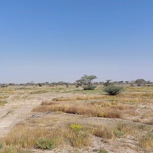 Landscape of Sahel exhibit