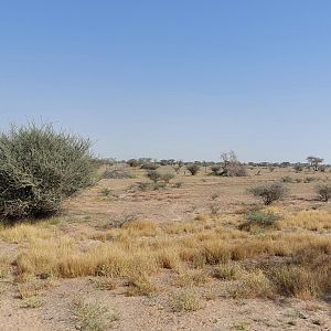 Landscape in Sahel exhibit