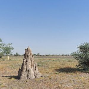 Fake Termite mound