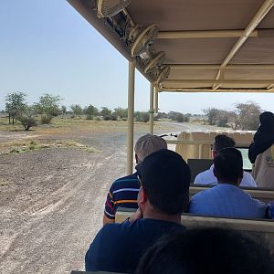 Impression of safari experience