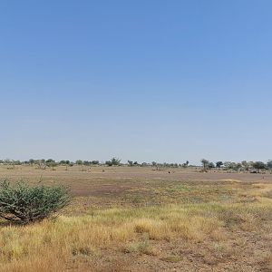 Landscape Savanne exhibit