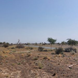 Landscape Savanne exhibit