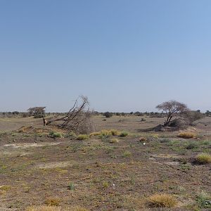 Landscape Savanne area