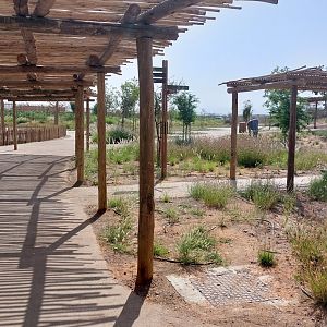 Walkways in Safari camp