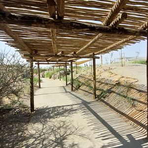 Walkways in Safari camp
