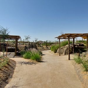 Walkways in Safari camp