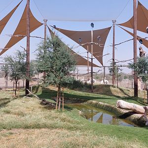 Aviary at Safari camp