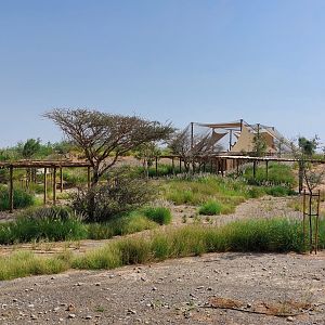 Landscape at Safari camp