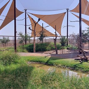 Aviary at Basecamp with Ground Hornbill