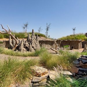 Exhibit for banded Mongoose and Crested Porcupine