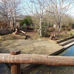 Pygmy hippopotamus enclosure 180322
