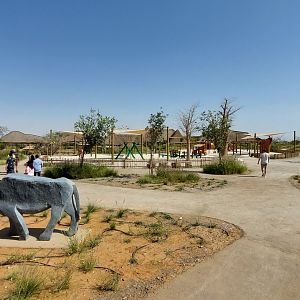 Playground at Safari camp