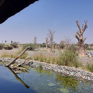 View from restaurant terrace at base camp