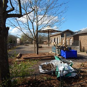 View towards giraffe enclosure 180322