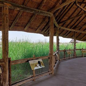 Look-out on Savanne area