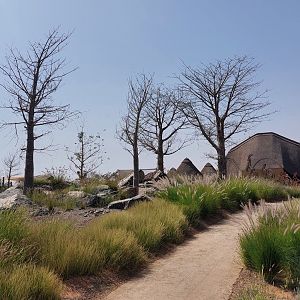 Landscape in safari camp