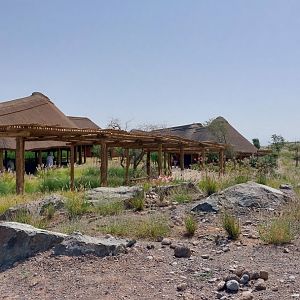 Landscape in safari camp