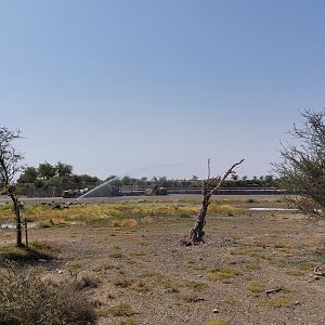 How the keep the plants alive