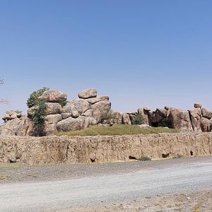 Lion rock in Serengeti area