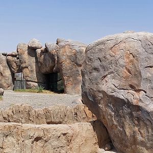 Glass viewing in to lion exhibit in Serengeti area