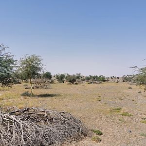 Landscape savanne area