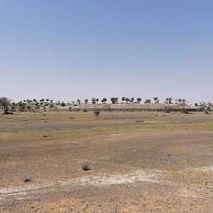 Niger Valley area (elephants) in the background