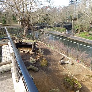 Warthog enclosure 180322