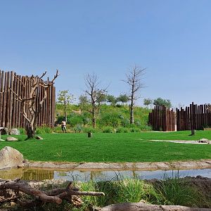 Stage for animal presentations