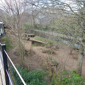 African hunting dog enclosure 180322