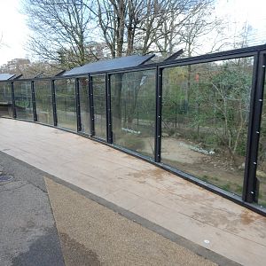 African hunting dog enclosure 180322