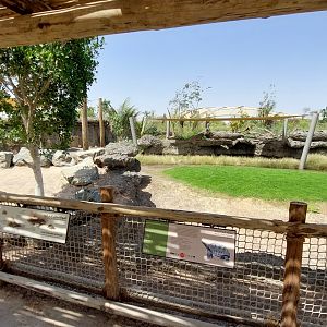 Aldabra Giant Tortoise enclosure