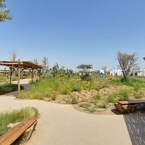 Furniture and landscaping in Base camp