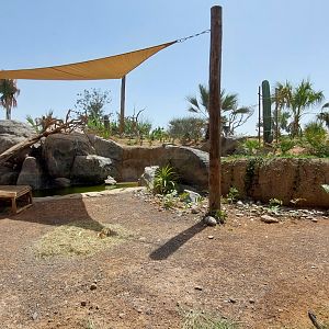 Lemur and tortoise enclosure