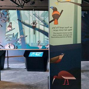 Wonderful graphics for education