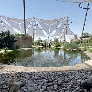 Birds of Africa Aviary