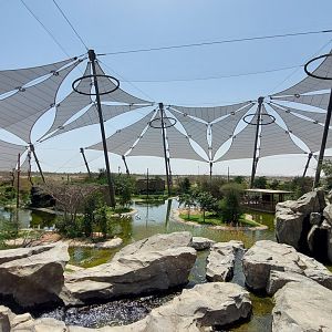 View from on top of the waterfall